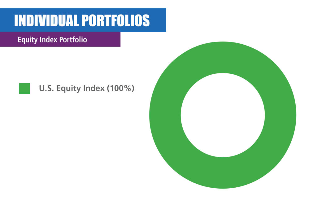 U.S. Equity Index pie chart